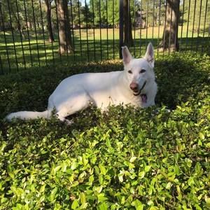 Meet your Posher, Anne